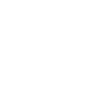 icon_qsmart_track_car